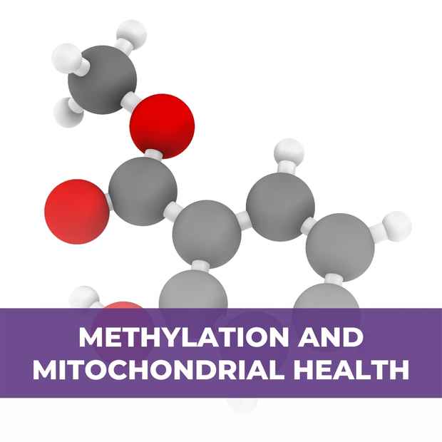 Methylation and mitochondrial health