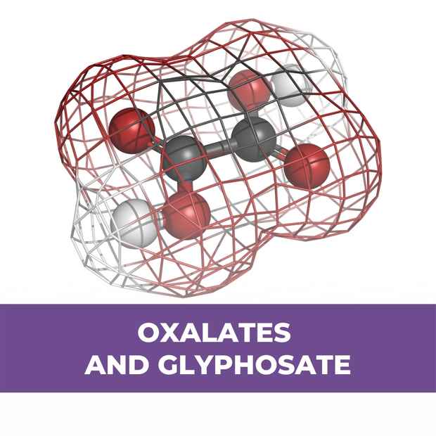 oxalates and glyphosate