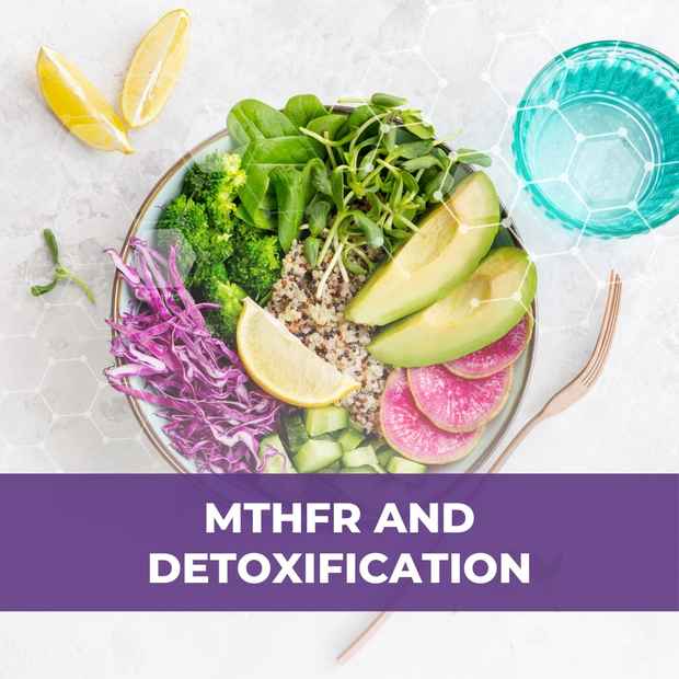 mthfr and detoxification