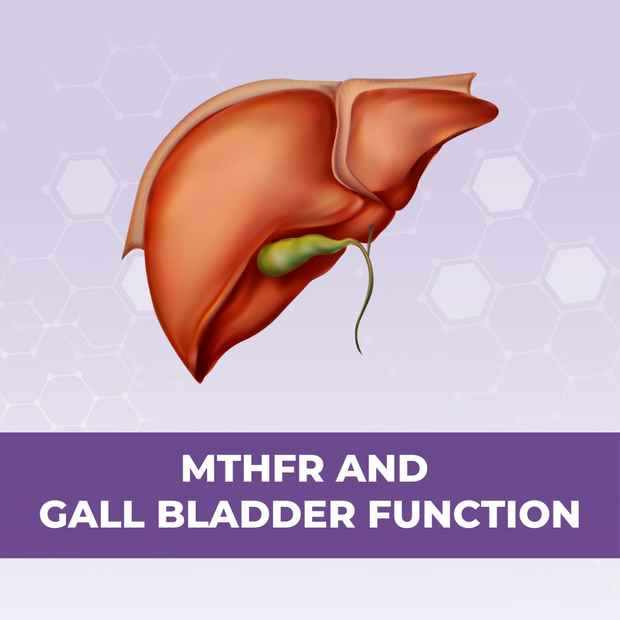 mthfr and gall bladder function