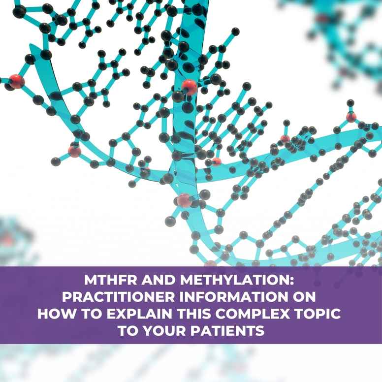 Practitioner Webinar: Explaining MTHFR and Methylation to Your Patients