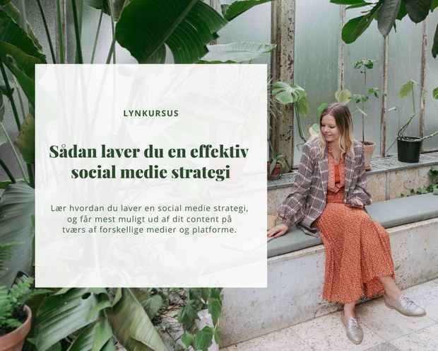 Social medie strategi