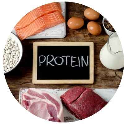 Protein Intake for Athletes- Blog