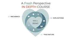 WBW Fresh Perspective IN DEPTH course - Catalog