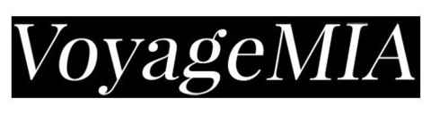 voyagemia-logo.jpg