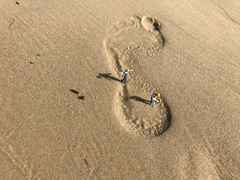 buiding-footprint-edited