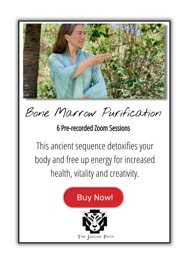 Bone marrow thumbnail