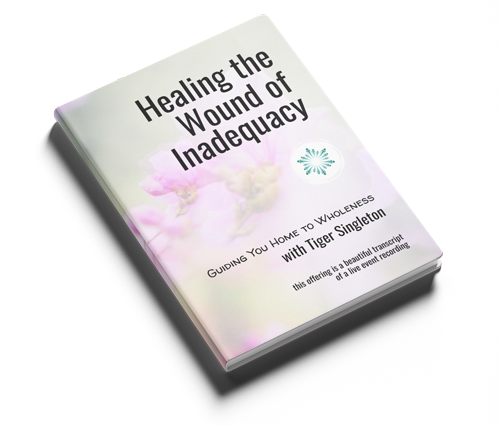 HWI-Healing-the-Wound-of-Inadequacy-Mock-Book-Cover