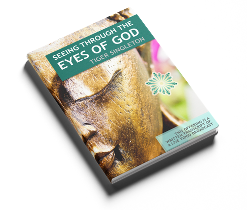 Seeing Through the Eyes of God - Ebook
