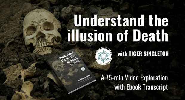 Understand the Illusion of Death 