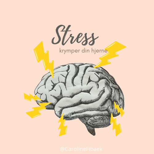 Stress-3