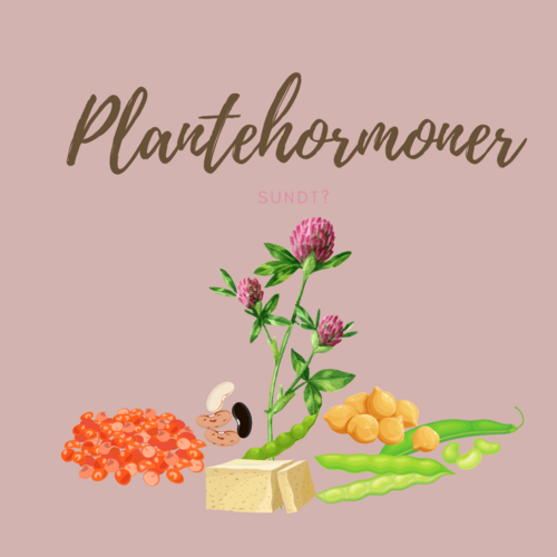 plantehormoner