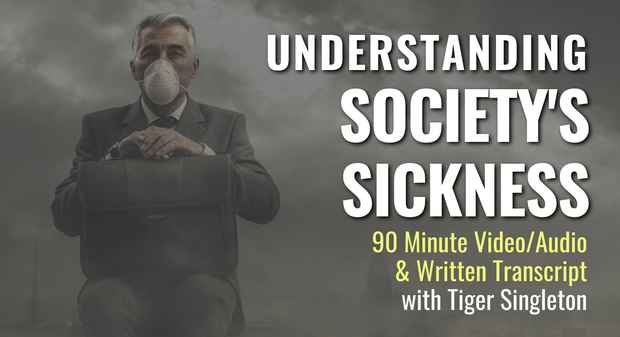 Understanding Society's Sickness