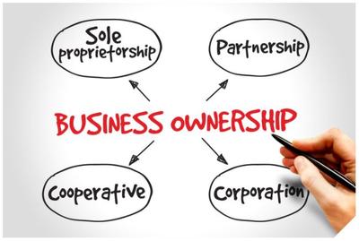 LLC, DBA, Collective, Cooperatives and more