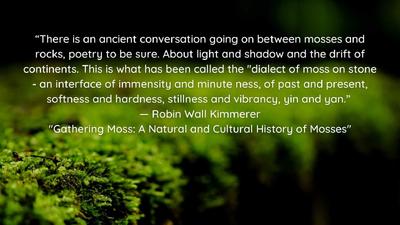 The principles and ideas that your business is rooted in - RWK-Quote-1536x864