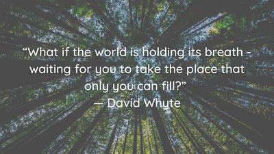 What Does Success Mean to You -David-Whyte-Quote-1536x864