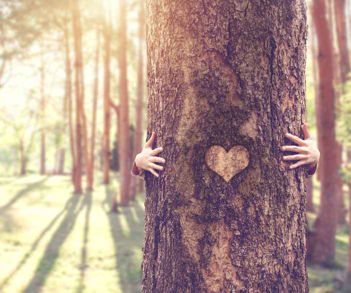 Kvinder krammer træ med hjerte beskåret