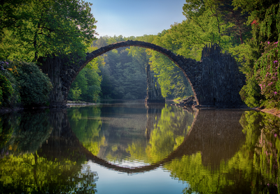 transformative insight imagery image, click to be redirected to the TII page