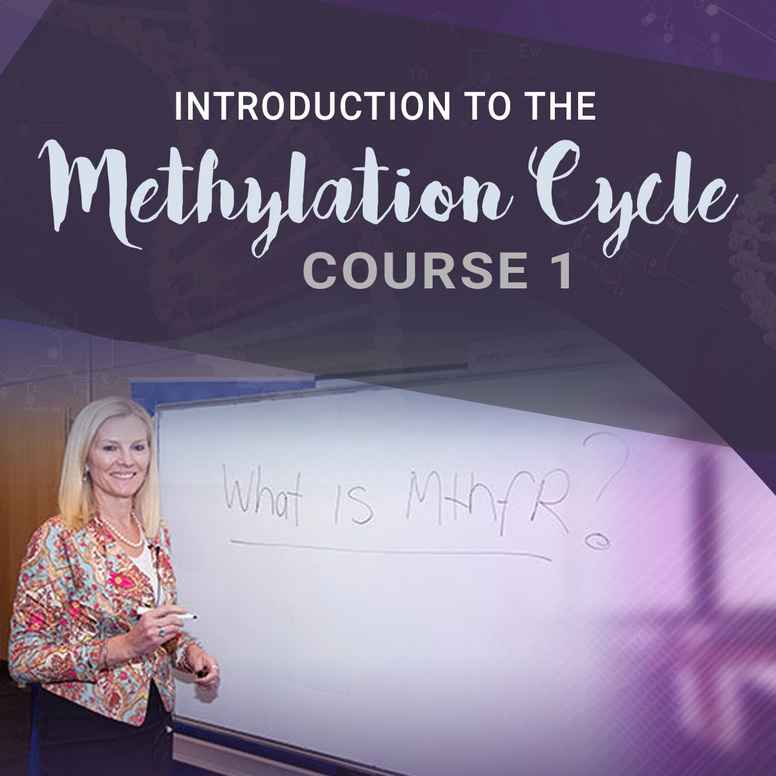 Introduction to the Methylation Cycles Course 1
