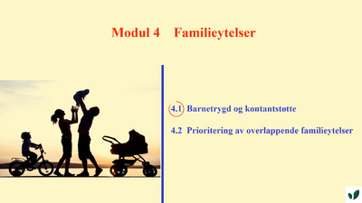 JK260921 Barnetrygd og kontaktstøtte