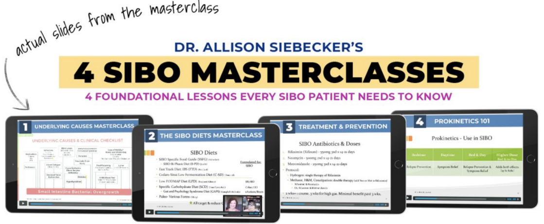 4 SIBO Masterclasses Dr. Allison Siebecker