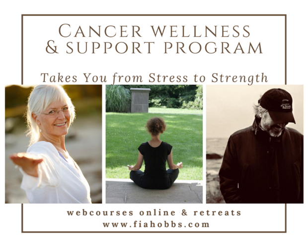 Cancer Wellness Support Program