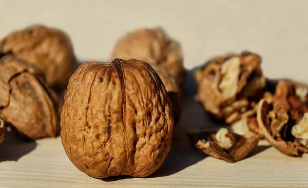 walnuts-1739021_960_720_Pixabay