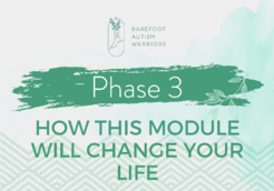 Phase 3 how this module-min