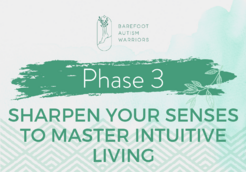 Phase 3sharpen your senses-min