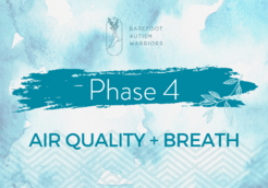Phase 4 air quality-min