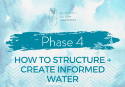 Phase 4 how to structure-min