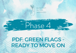 Phase 4 green flags-min