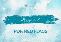 Phase 4 red flags-min