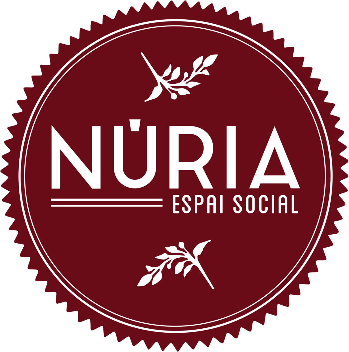 nuria_logo_espai_porta