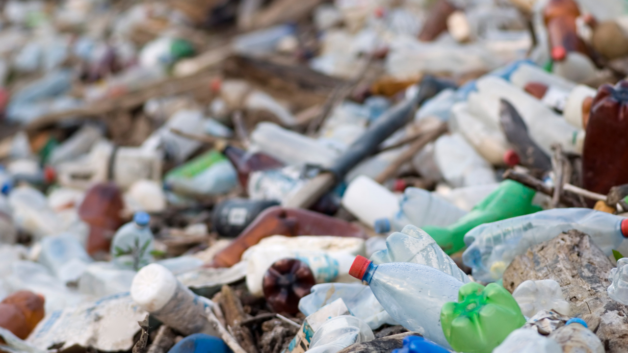 landfill plastic bottles