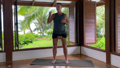 Whole body activation ||  Standing twist obliques (youtube)