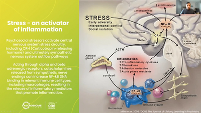 The Gut-Skin-Brain-Sleep Matrix and the Psychobiome Kiran Krishnan .mp4