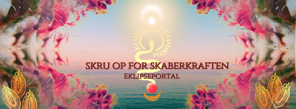 Simplero header SP Spirituel Aktivisme (26)
