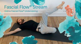 Jonas Dueholm - Program 10 - Fascial Flow Stream
