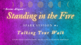 Spark Session Covers (5)