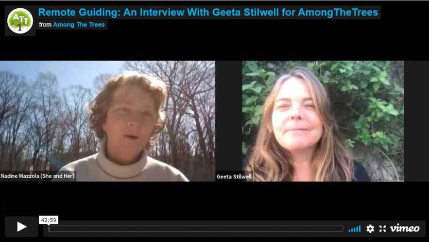 Remote-Guiding-Interview-with-Geeta-Stilwell-1024x580