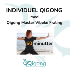 Individuel Qigong med Qigong Master Vibeke Fraling-3-2