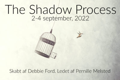 The Shadow Process Retreat (september 2022)