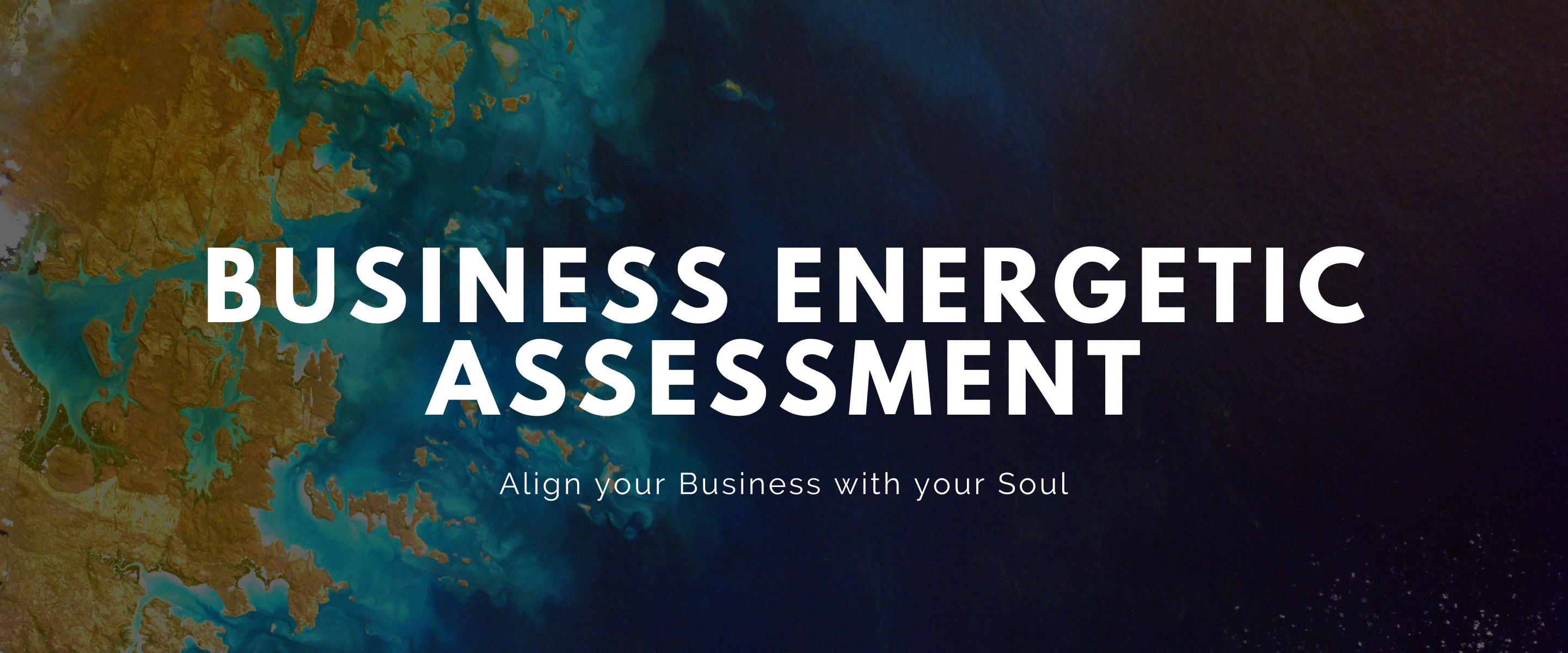 Business Energetic Assessment (2880 x 1200 px)