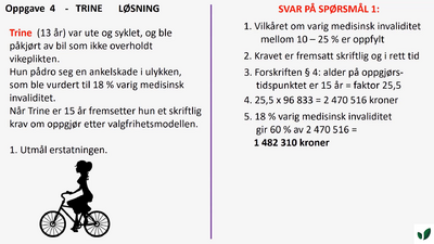 JK06 Valgfrihetsmodellen