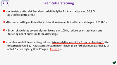 JK06 Tofasemodellen fremtidserstatning