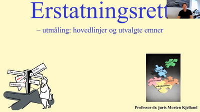 Mini-oppgave om hjemmearbeidserstatning 2021