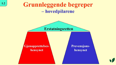 JK09 Hovedhensyn i erstatningsretten