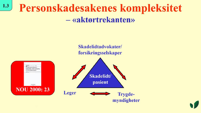 JK09 Personskadesakenes kompleksitet