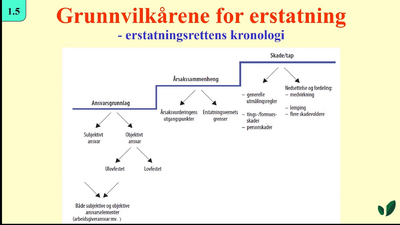 JK09 Erstatningsrettens kronologi